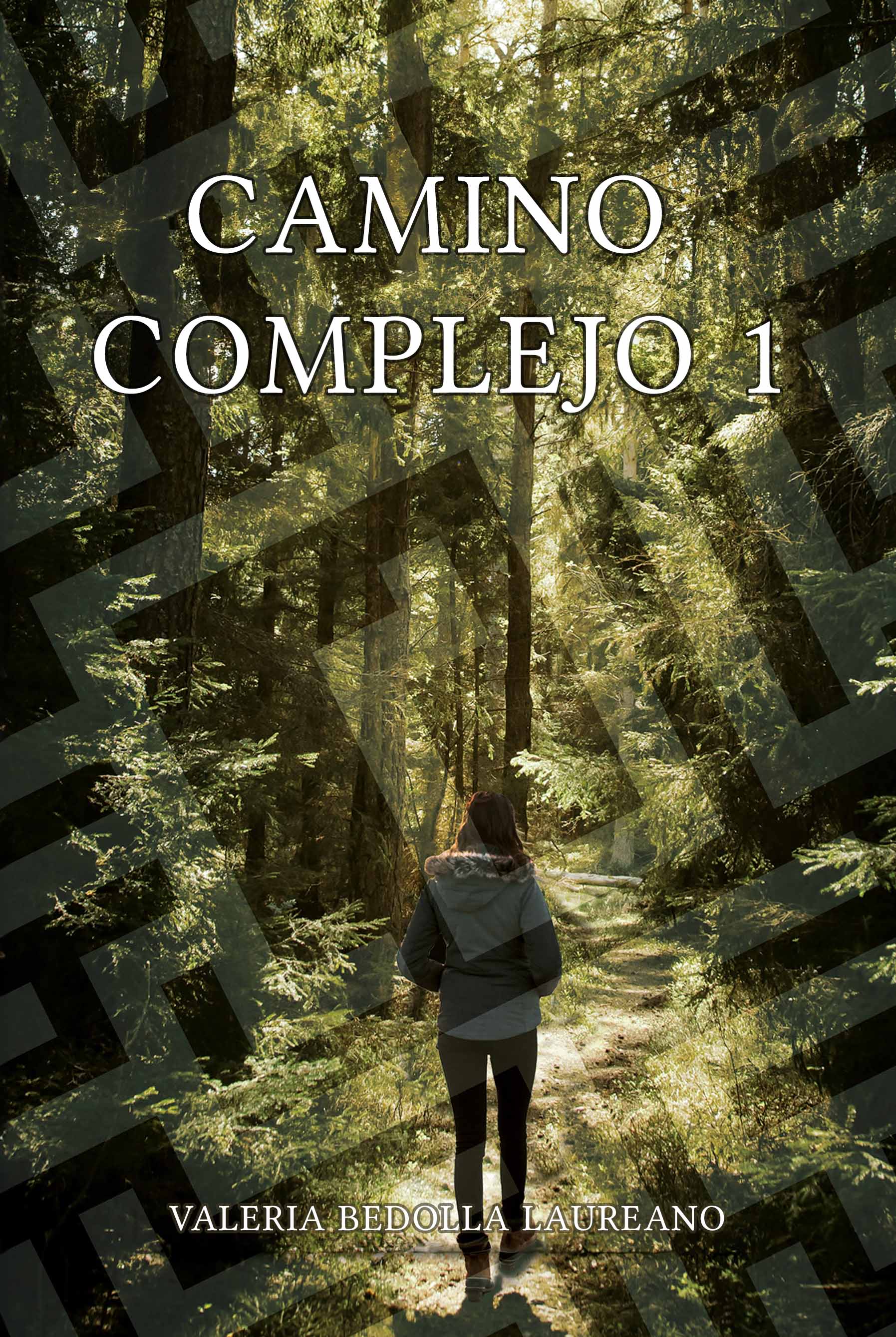 Camino Complejo 1